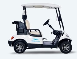 Tri Electric TE A2 2 Seater Golf Cart