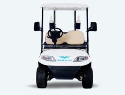 Tri Electric TE A2 2 Seater Golf Cart