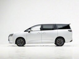 Wuling Xingguang 730