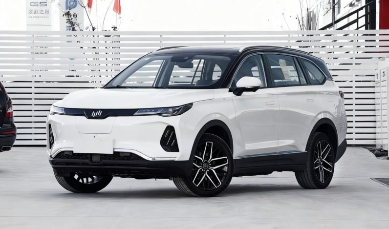 Weltmeister Rebuilds Its EV Future With New Wenzhou Sales Subsidiary and Production Restart