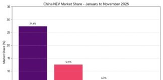 BYD Leads China EV Market as Tesla Faces Sharp Drop BYD Leads China EV Market