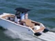 Volare Artemis23: Electric Foiling Boat With 30 mph Speed Volare Artemis23: Electric Foiling Boat With 30 mph Speed