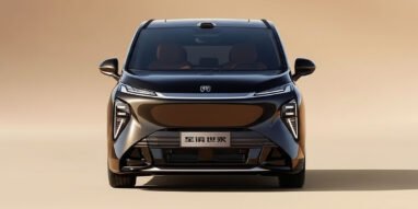 Buick Electra Encasa