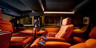 Buick Electra Encasa