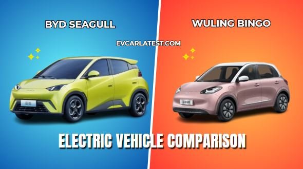 BYD Seagull vs Wuling Bingo