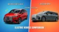 Mercedes VLE vs Zeekr 009