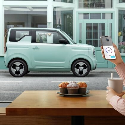 Geely Geome Panda Mini