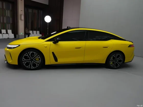 GAC Aion Ray 7